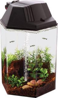 Koller Kraft Betta Hex Tank Kit 1.7gal Cheap