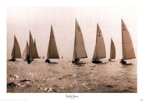 Yacht Race Hot on Sale