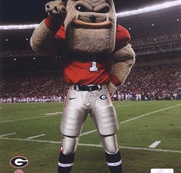 The Univserity of Georgia Bulldogs Mascot 2007 Online now