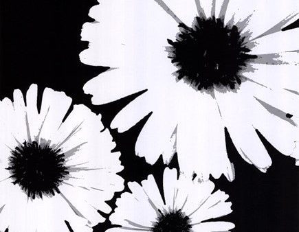 Bw Daisies II For Discount