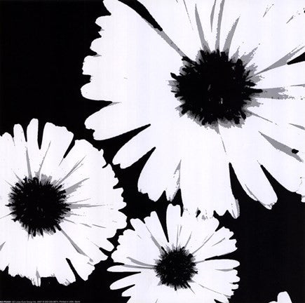 Bw Daisies II For Discount