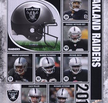 2010 Oakland Raiders Team Composite Supply