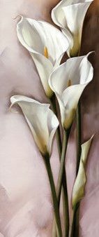 CALLAS GRACIEUX II For Sale