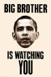 Big Brother - Obama Watching Online