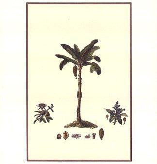 Tropical Palms II Online Sale