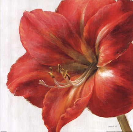 Vivid Amaryllis Cheap