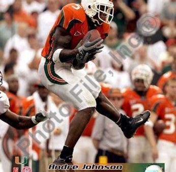 Andre Johnson University of Miami Action Supply