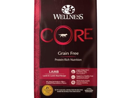 20% OFF+FREE Wipes: Wellness CORE Grain-Free Lamb & Lamb Meal Recipe Dry Dog Food Online now