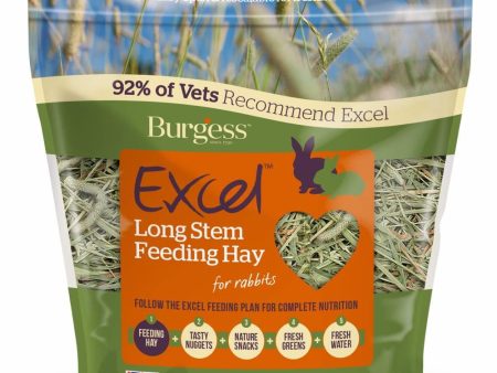 Burgess Excel Long Stem Feeding Timothy Hay 1kg For Cheap